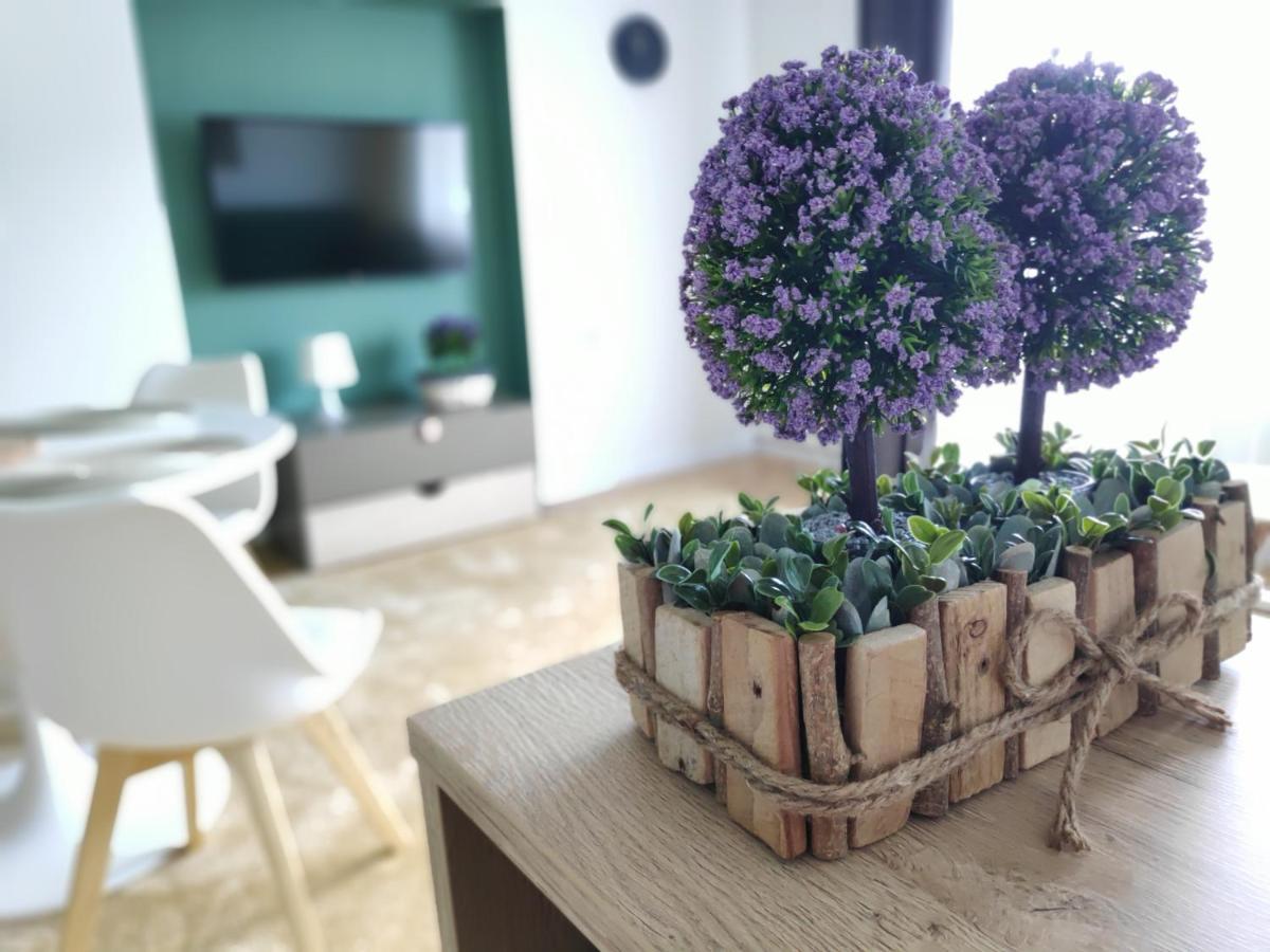 Apartament Karpaty 크리니차 즈드로이 외부 사진